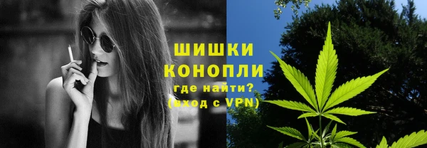 крисы Баксан