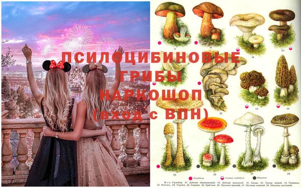 крисы Баксан