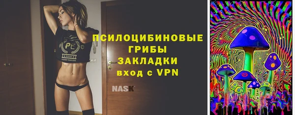 твердый Балахна