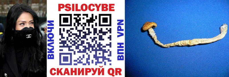 закладки  Луза  Галлюциногенные грибы ЛСД 