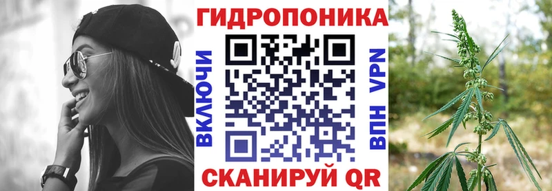 Бошки Шишки индика  Луза 